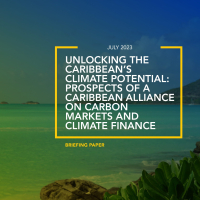 Unlocking the Caribbean’s Climate Potential: Prospects of a Caribbean Alliance on Carbon Markets and Climate Finance